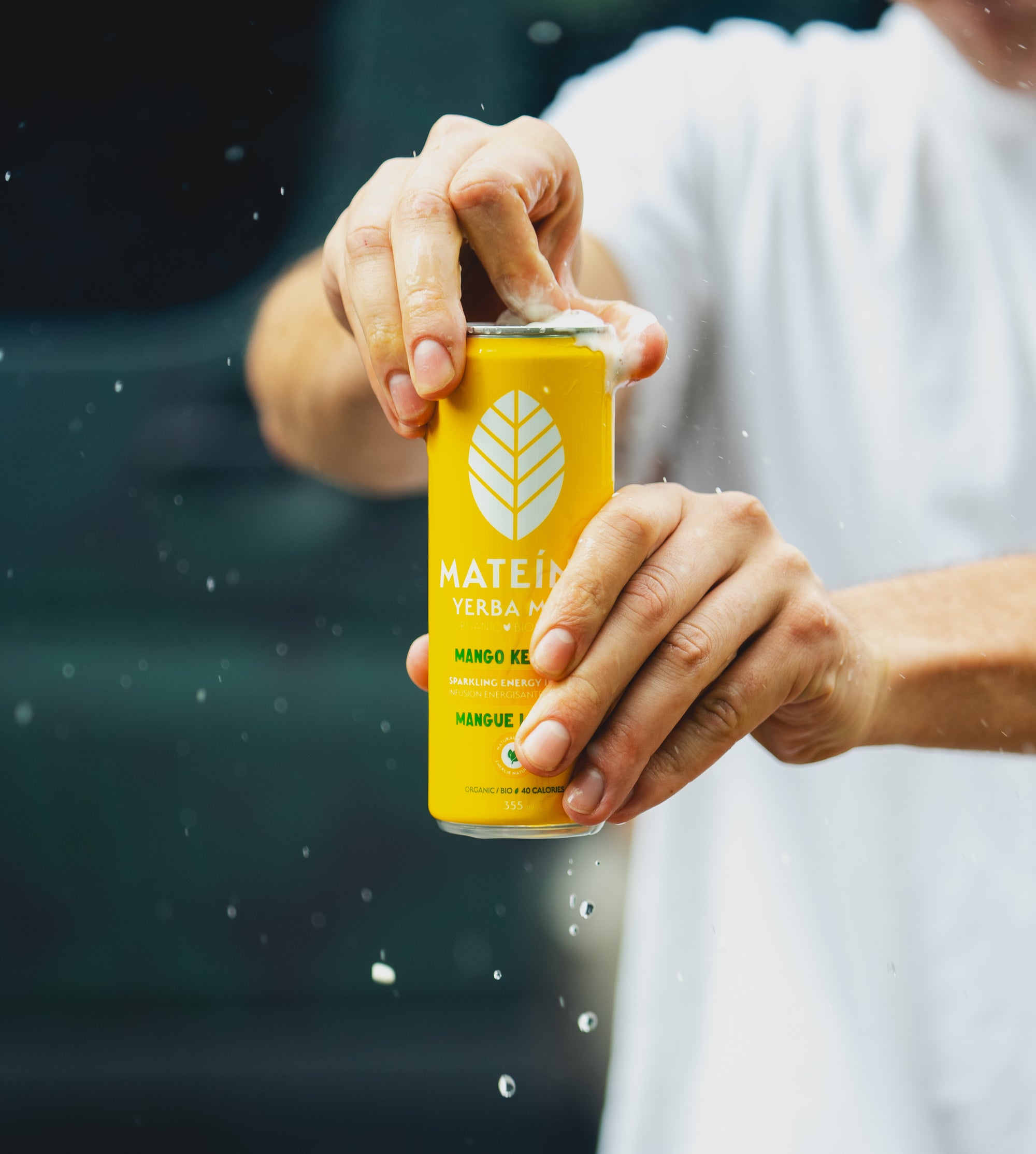 DANS L’OEIL DU DRAGON 2023; MATEINA YERBA MATE ONE YEAR LATER