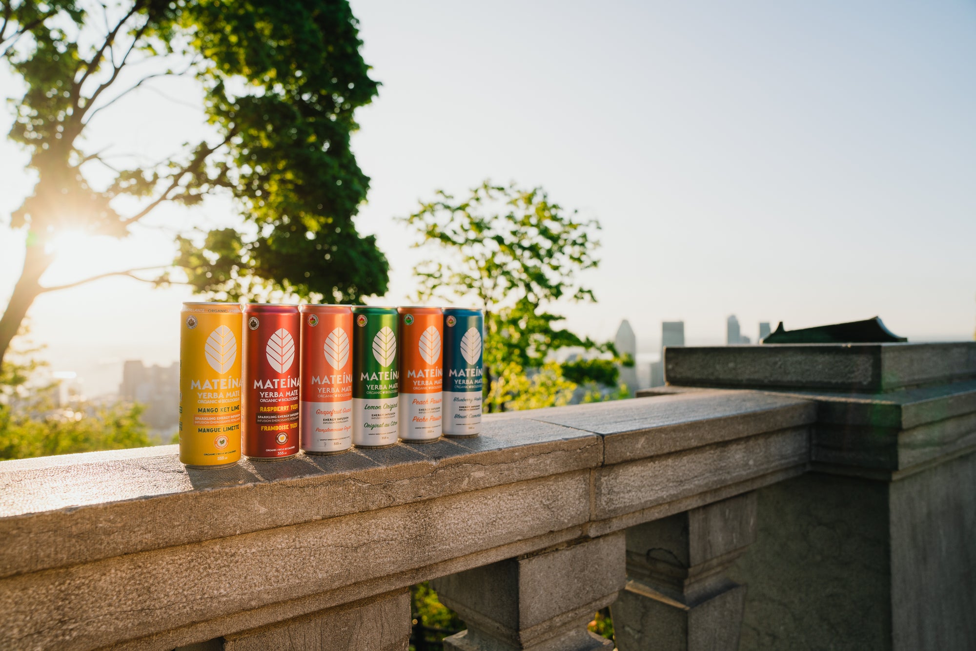 Yerba Mate: A naturally energizing plant that keeps stealing the hearts of Canadians!