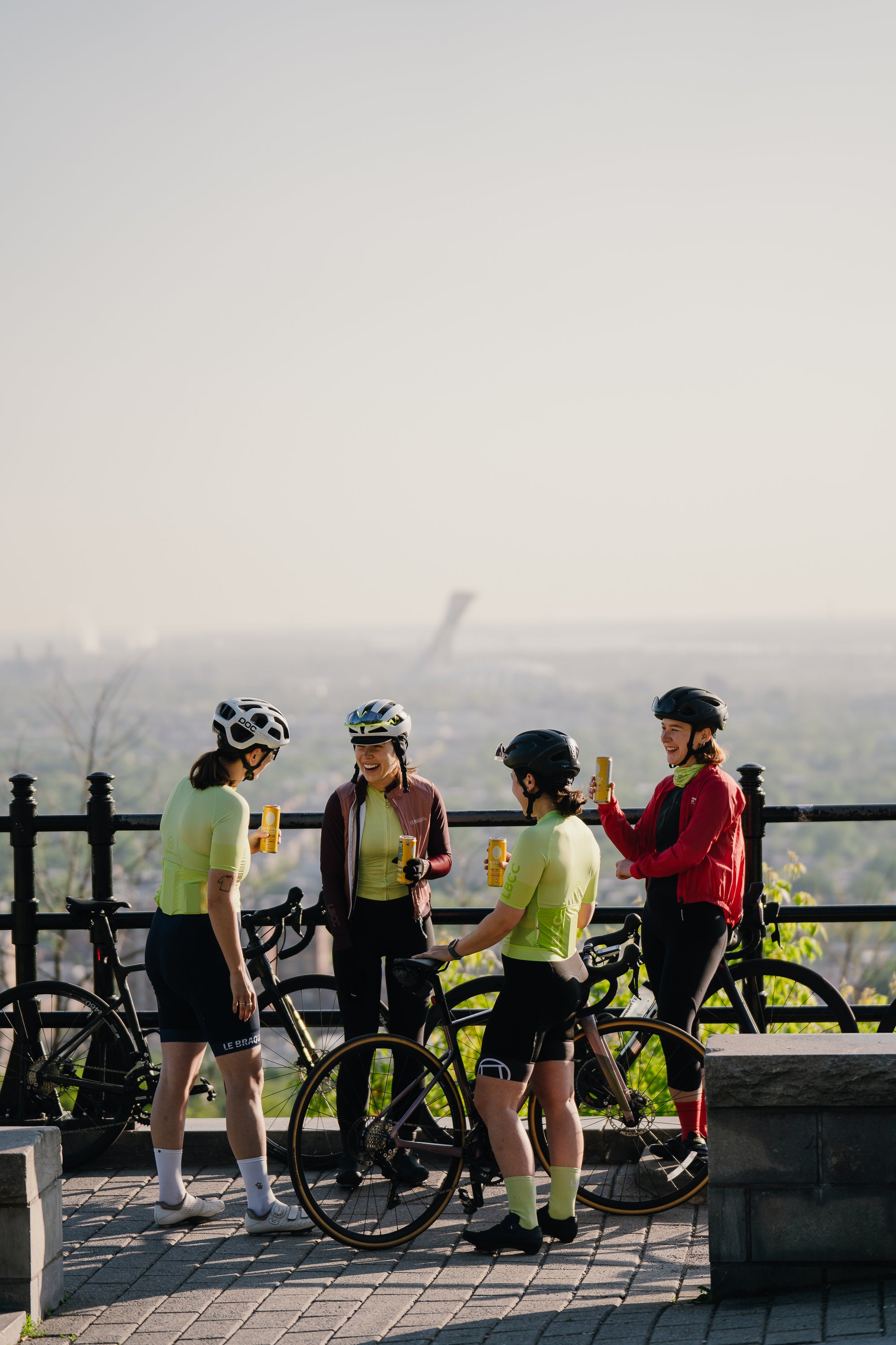 Yerba Mate Canadian Organic Natural Cafeine Plant