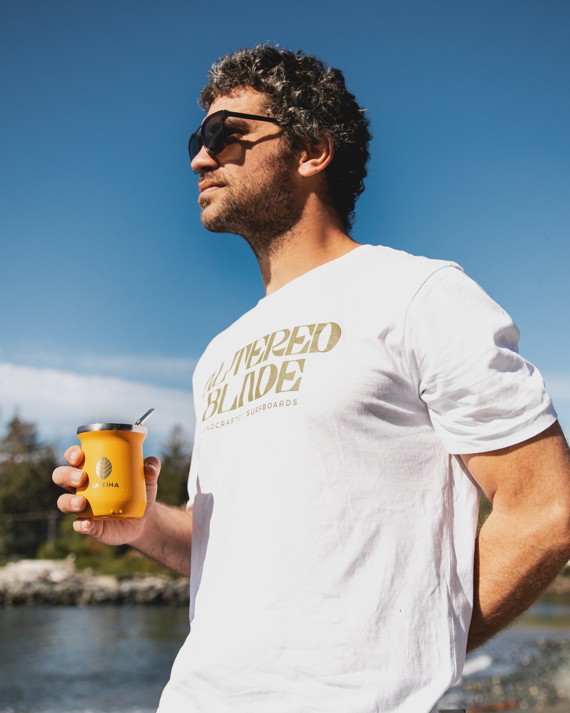 Yerba Mate Canadian Organic Natural Cafeine Plant