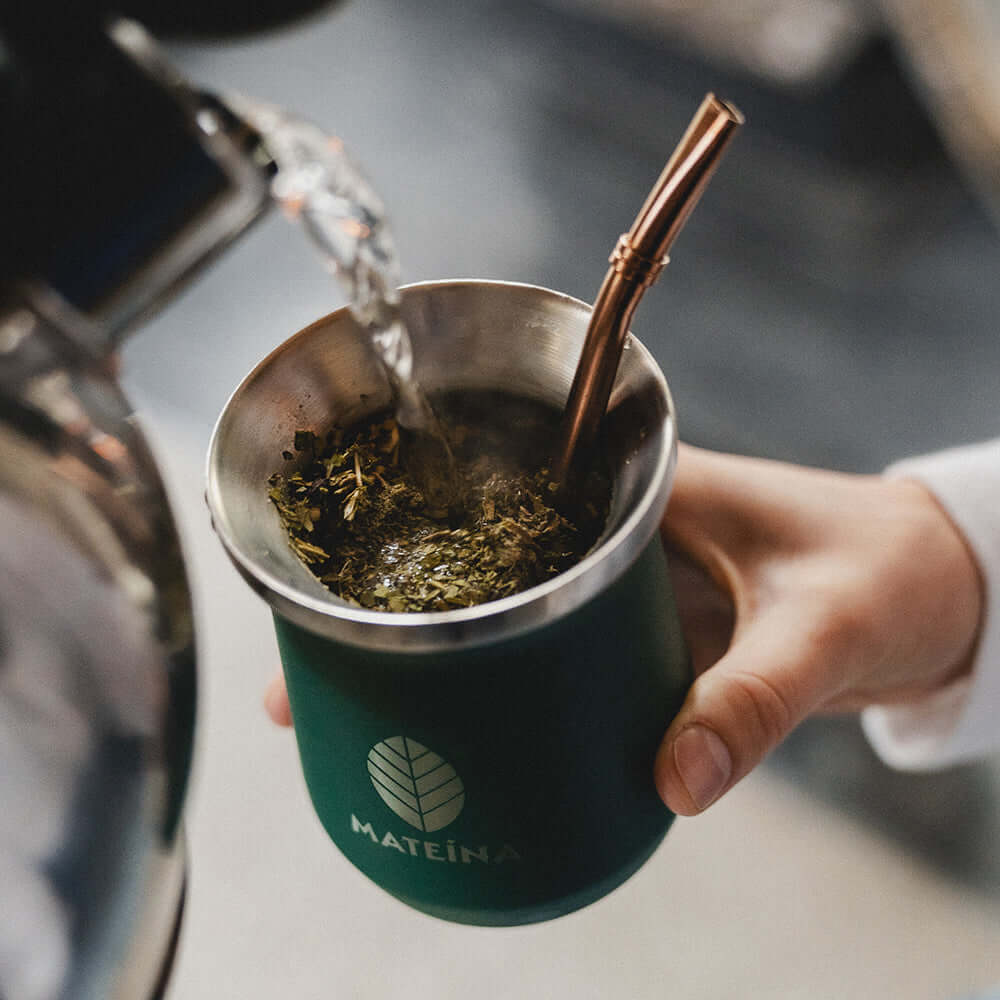 Modern Mate Gourd & Bombilla Set - Green